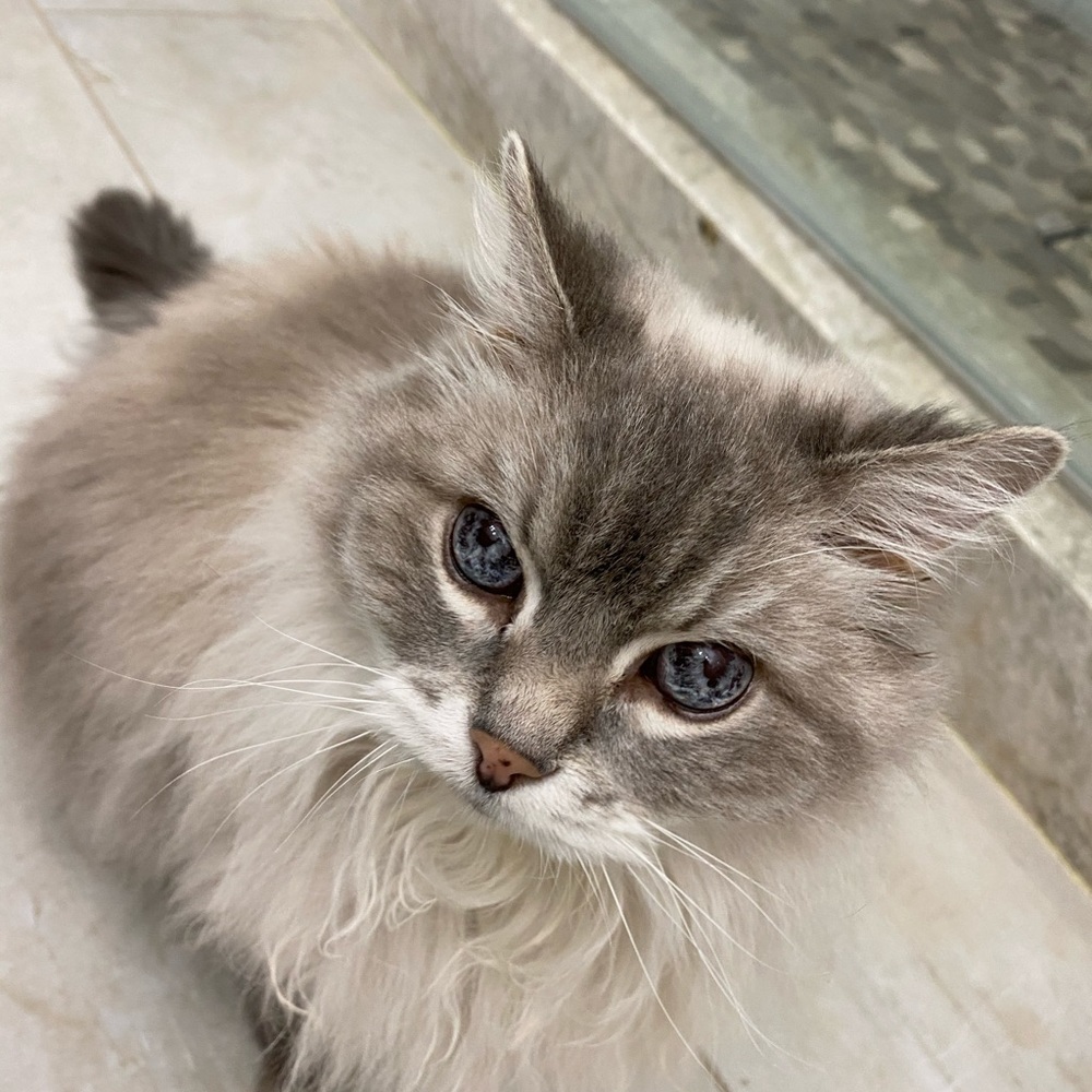 Meet your Posher, Abi